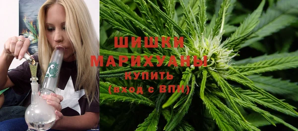 гидропоника Гусь-Хрустальный